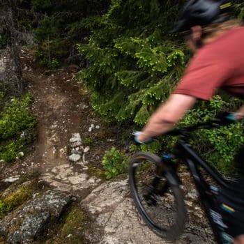 Singletrack riding.