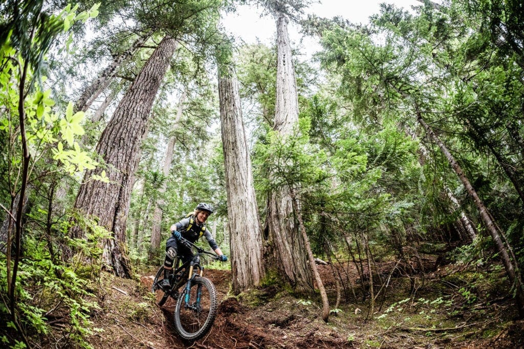 Sea to Sky MTB Multi-day Reserve Arbutus Routes