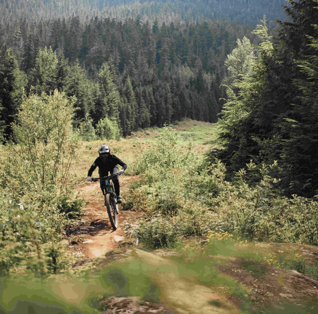 Whistler Bike East Coast Mountain Bike Parks Whistler Mountain