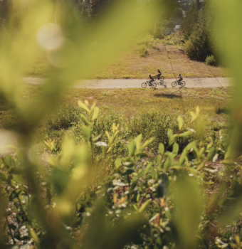 Enduro Bike Rentals